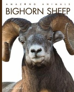Bighorn Sheep - Riggs, Kate