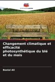 Changement climatique et efficacité photosynthétique du blé et du maïs