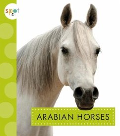 Arabian Horses - Thielges, Alissa