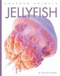 Jellyfish - Bild 1