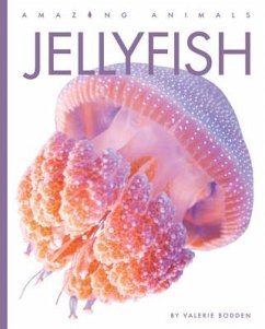 Jellyfish - Bodden, Valerie