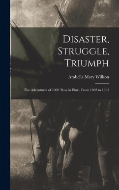 Cover Disaster, Struggle, Triumph: The Adventures of 1000 'boys in Blue', From 1862 to 1865