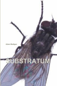 Substratum - Madigan, Adam