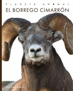 El Borrego Cimarrón - Riggs, Kate