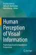 Human Perception of Visual Information - Bild 1
