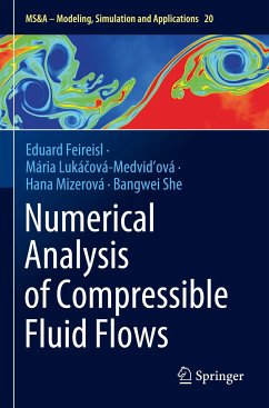 Numerical Analysis of Compressible Fluid Flows - Feireisl, Eduard;Lukácová-Medvidová, Mária;Mizerová, Hana