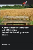 Cambiamento climatico ed efficienza fotosintetica di grano e mais