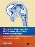 The Human Brain during the First Trimester 31- to 33-mm Crown-Rump Lengths (eBook, ePUB)