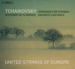 Musik Für Streichorchester - Azkou,Julian/United Strings Of Europe