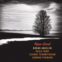 Open Land - Angelini,Bruno
