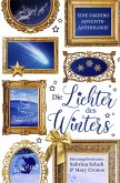 Die Lichter des Winters (eBook, ePUB)