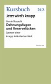 Dehnungsfugen und Reservelücken (eBook, ePUB)