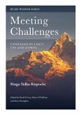 Meeting Challenges (eBook, ePUB)