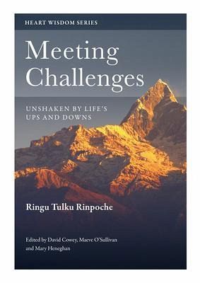 Meeting Challenges (eBook, ePUB) Meeting Challenges (eBook, ePUB)