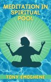 Meditation In a Spiritual Pool (eBook, ePUB)