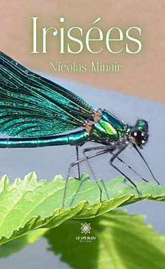 Irisées (eBook, ePUB) - Minair, Nicolas