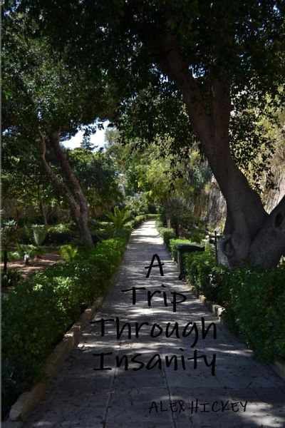 A Trip Through Insanity A Trip Through Insanity