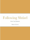 Following Shtisel