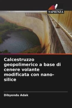 Calcestruzzo geopolimerico a base di cenere volante modificata con nano-silice - Adak, Dibyendu