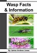 Wasp Facts & Information - Bild 1