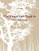 The Imperfect Road to Perfection