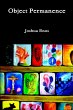 Object Permanence - Bild 1