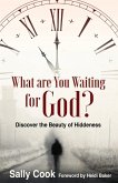 What are You Waiting for God?: Discover the Beauty of Hiddenness