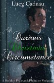 A Curious Christmas Circumstance: A Holiday Pride and Prejudice Variation (eBook, ePUB)
