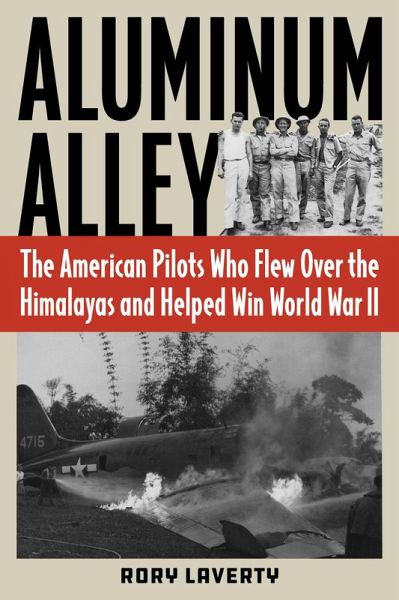 Aluminum Alley (eBook, ePUB)