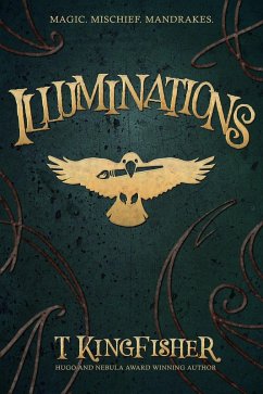 Illuminations (eBook, ePUB) - Kingfisher, T.