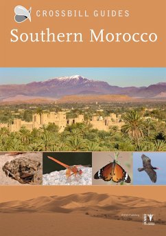 Southern Morocco - Pitt, Martin