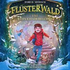 Flüsterwald – Eine Weihnachtsüberraschung: 3 spannende Weihnachtsabenteuer (MP3-Download)