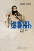 Schubert. Schubert? (eBook, PDF)
