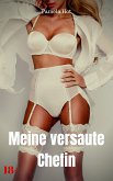 Meine versaute Chefin (eBook, ePUB)