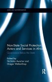 Non-State Social Protection Actors and Services in Africa