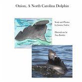 Onion, a North Carolina Dolphin Onion, a North Carolina Dolphin