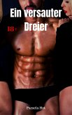 Ein versauter Dreier (eBook, ePUB)