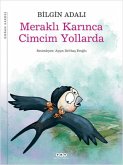 Merakli Karinca Cimcim Yollarda