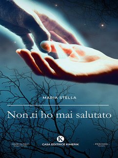 Non ti ho mai salutato (eBook, ePUB) - Stella, Maria