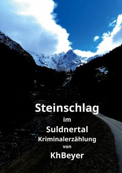 Steinschlag im Suldnertal (eBook, ePUB)