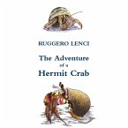 The Adventure of a Hermit Crab