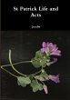 St Patrick Life and Acts - Bild 1