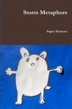 Cover Storm Metaphors