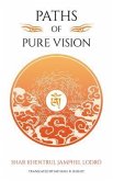 Paths of Pure vision (eBook, ePUB)