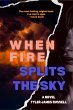 When Fire Splits the Sky (eBook, ePUB) - Bild 1