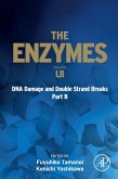 DNA Damage and Double Strand Breaks Part B (eBook, ePUB)