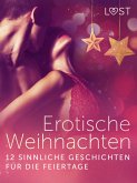 Erotische Weihnachten: 12 sinnliche Geschichten für die Feiertage (eBook, ePUB)