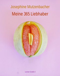 Meine 365 Liebhaber (eBook, ePUB) - Mutzenbacher, Josephine