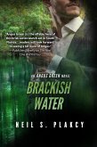 Brackish Water (Angus Green, #4) (eBook, ePUB)