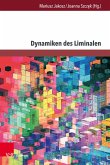 Dynamiken des Liminalen (eBook, PDF)